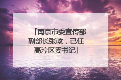 南京市委宣传部副部长张政，已任高淳区委书记