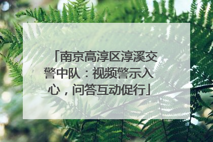 南京高淳区淳溪交警中队：视频警示入心，问答互动促行