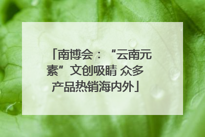 南博会：“云南元素”文创吸睛 众多产品热销海内外