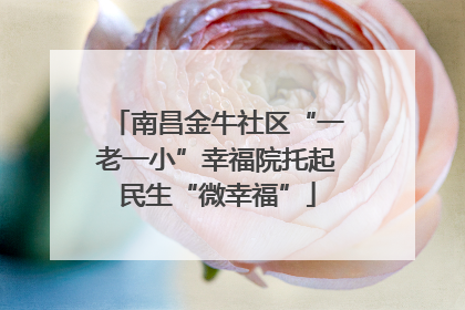 南昌金牛社区“一老一小”幸福院托起民生“微幸福”