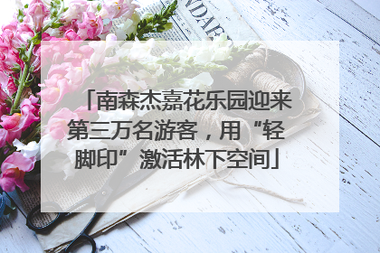 南森杰嘉花乐园迎来第三万名游客，用“轻脚印”激活林下空间