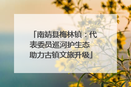 南靖县梅林镇：代表委员巡河护生态 助力古镇文旅升级