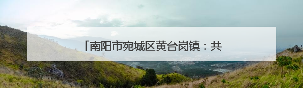 南阳市宛城区黄台岗镇：共筑信用长城 共绘营商新篇