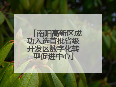 南阳高新区成功入选首批省级开发区数字化转型促进中心