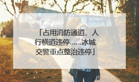 占用消防通道、人行横道违停……冰城交警重点整治违停