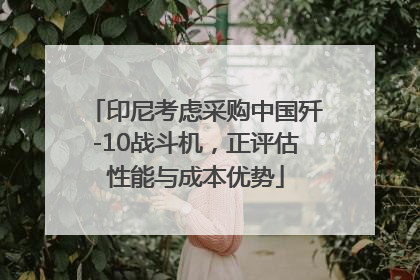 印尼考虑采购中国歼-10战斗机，正评估性能与成本优势