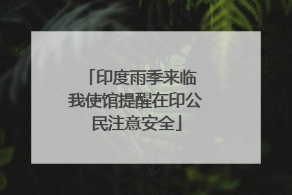 印度雨季来临 我使馆提醒在印公民注意安全