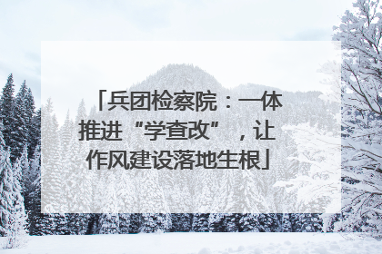 兵团检察院：一体推进“学查改”，让作风建设落地生根