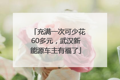 充满一次可少花60多元，武汉新能源车主有福了