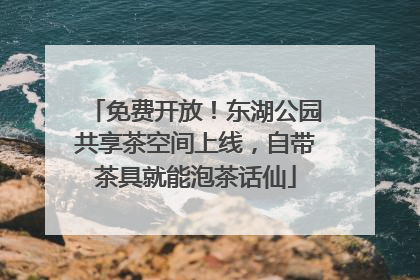 免费开放！东湖公园共享茶空间上线，自带茶具就能泡茶话仙
