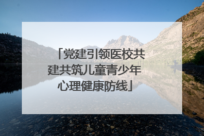 党建引领医校共建共筑儿童青少年心理健康防线