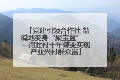 党建引领合作社 盐碱地变身“聚宝盆”——河涯村十年蝶变实现产业兴村群众富