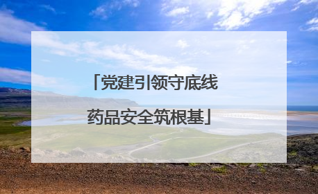 党建引领守底线 药品安全筑根基