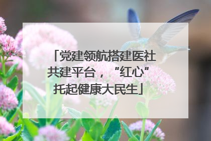 党建领航搭建医社共建平台，“红心”托起健康大民生