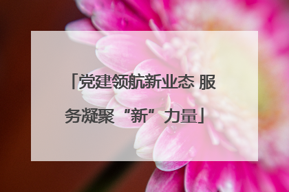 党建领航新业态 服务凝聚“新”力量