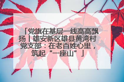 党旗在基层一线高高飘扬丨雄安新区雄县黄湾村党支部：在老百姓心里，筑起“一座山”