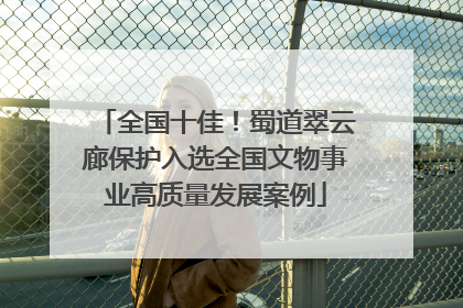 全国十佳！蜀道翠云廊保护入选全国文物事业高质量发展案例