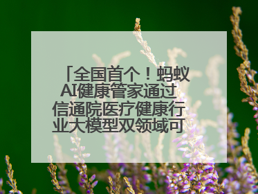 全国首个！蚂蚁AI健康管家通过信通院医疗健康行业大模型双领域可信评估