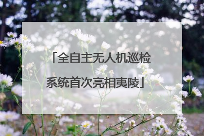 全自主无人机巡检系统首次亮相夷陵