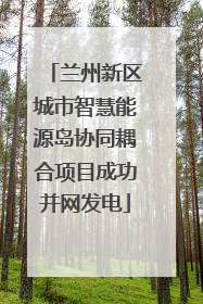 兰州新区城市智慧能源岛协同耦合项目成功并网发电