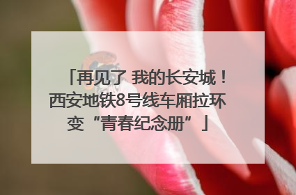 再见了 我的长安城！西安地铁8号线车厢拉环变“青春纪念册”