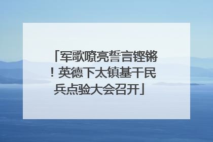 军歌嘹亮誓言铿锵！英德下太镇基干民兵点验大会召开