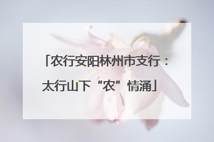 农行安阳林州市支行：太行山下“农”情涌