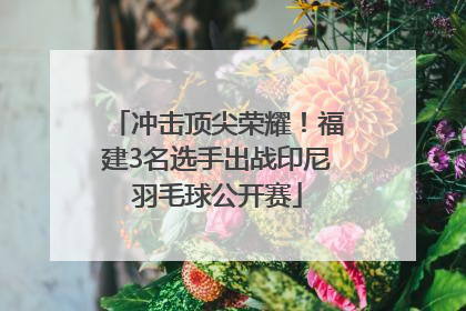 冲击顶尖荣耀！福建3名选手出战印尼羽毛球公开赛
