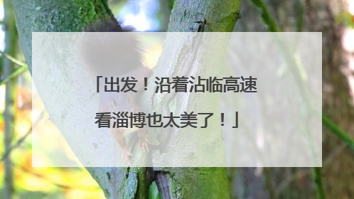 出发！沿着沾临高速看淄博也太美了！