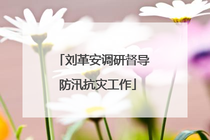 刘革安调研督导防汛抗灾工作