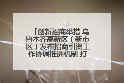 创新招商举措 乌鲁木齐高新区（新市区）发布招商引资工作协调推进机制 打造投资发展新高地
