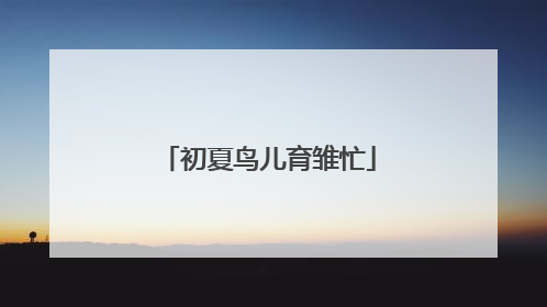 初夏鸟儿育雏忙