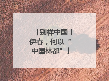 别样中国丨伊春，何以“中国林都”