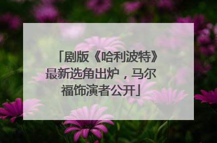 剧版《哈利波特》最新选角出炉，马尔福饰演者公开