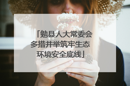 勉县人大常委会多措并举筑牢生态环境安全底线