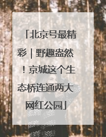 北京号最精彩｜野趣盎然！京城这个生态桥连通两大网红公园