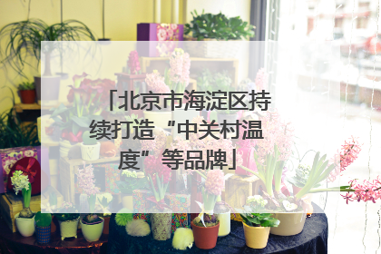 北京市海淀区持续打造“中关村温度”等品牌