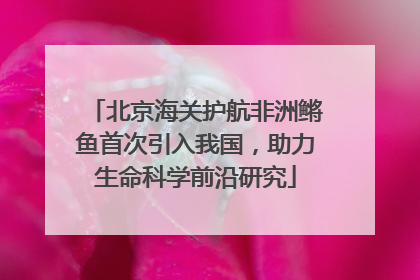 北京海关护航非洲鳉鱼首次引入我国，助力生命科学前沿研究