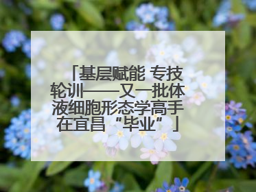 基层赋能 专技轮训——又一批体液细胞形态学高手在宜昌“毕业”