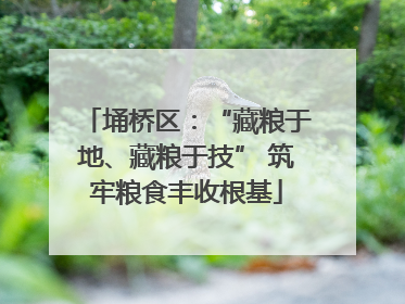 埇桥区：“藏粮于地、藏粮于技” 筑牢粮食丰收根基