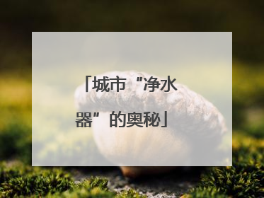 城市“净水器”的奥秘