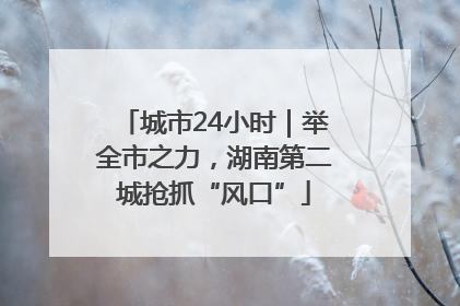 城市24小时｜举全市之力，湖南第二城抢抓“风口”