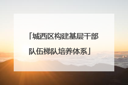 城西区构建基层干部队伍梯队培养体系