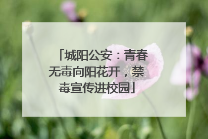 城阳公安：青春无毒向阳花开，禁毒宣传进校园