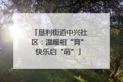 垦利街道中兴社区：温暖相“育” 快乐启“萌”