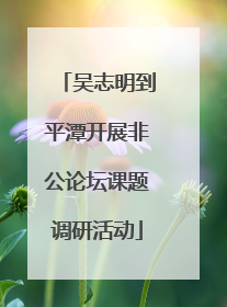 吴志明到平潭开展非公论坛课题调研活动