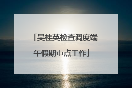 吴桂英检查调度端午假期重点工作