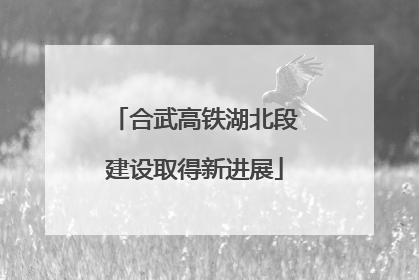 合武高铁湖北段建设取得新进展