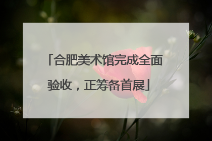 合肥美术馆完成全面验收，正筹备首展