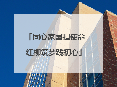 同心家国担使命 红柳筑梦践初心